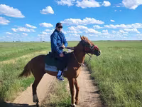 At, Thoroughbred horse — foto 1
