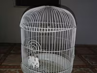 Ağ rəngli dairəvi quş qəfəsi - Material: metal telli korpus, plastik — फ़ोटो 3