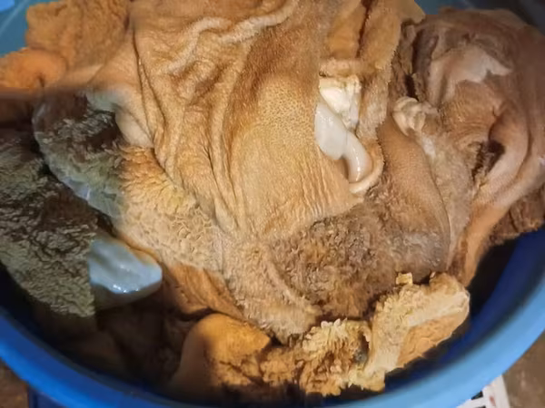 Quzu qarını ədədi yox kilosu 1.60 ədədi bir kilo gəlmir çəkisi az olur