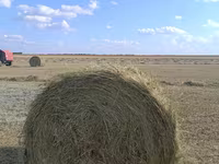 Продам сено рядом с Кокшетау — फ़ोटो 1
