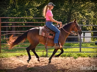 母马, Quarter Horse — 照片 2