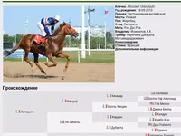 Кобила, Arabian horse — фото 6