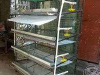 Լոր բների պատվերով վաճառք — photo 1