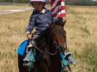 At, Pinto horses — foto 4
