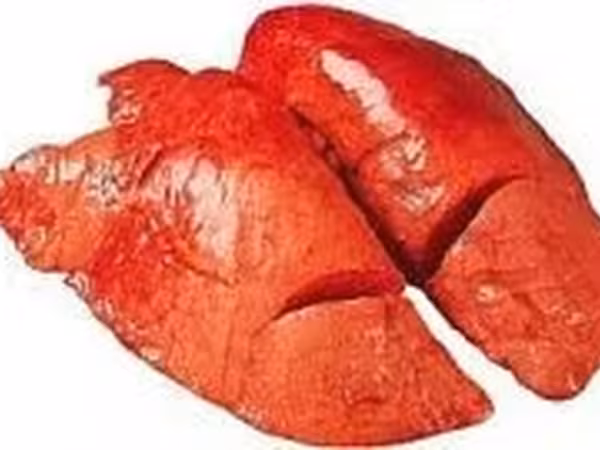 Купим говяжьи субпродукты!