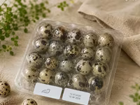 Quails — Foto 2