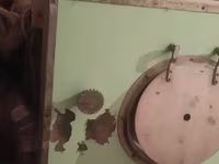 Ինկուբատոր հավի լորի և այլ թռչուների համար — фото 4