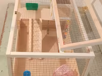 Hamster/kiçik gəmirici üçün geniş taxta — фото 5