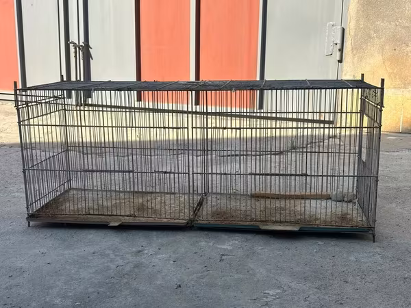 İran qəfəsi karellə üçün