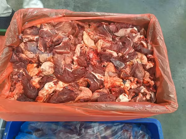 Говядина котлетная, 80/20