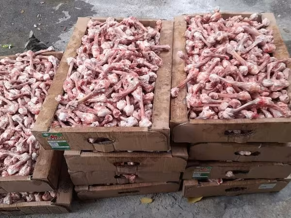 İt pişik yemi olur nece kilo istəyirsiz olur