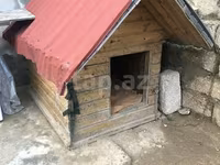 Taxta it evi - Material: qalın taxta karkas, ikiqat qırmızı — фото 1