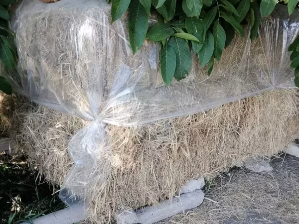 Խառը խոտ լավ որակի