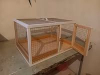 Dovşan,hamster,şinşila,bildirçin,cücə,xamyak,pişik,quş ve s kimi ev — الصورة 3