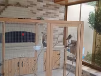 Böyük ölçülü quş volyeri/sərgisi - Material: möhkəm taxta karkas, sıx — Foto 3