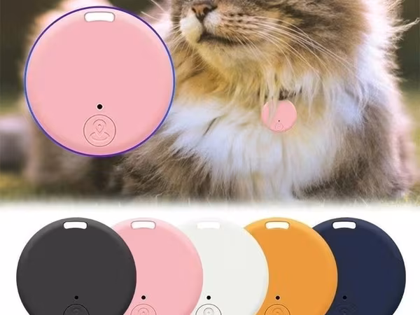 🐕 GPS pet lokator Ev heyvanınız gəzintiyə çıxanda onun yerini rahat