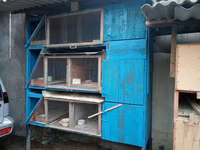 Var 150. 300. 350. 400 hər qiyməti. var — foto 3