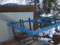 Թռչունի Վանդակ 70 * 50 * 50 — foto 3