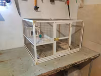 Papuqay,dovşan,hamster,şinşila,bildirçin,cücə,xamyak,pişik,quş,tısbağa — Foto 3