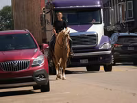 At, Quarter Horse — foto 4