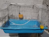 Quş qəfəsi – orta ölçülü, metal barmaqlıqlı və mavi plastik altlıqla — Foto 3
