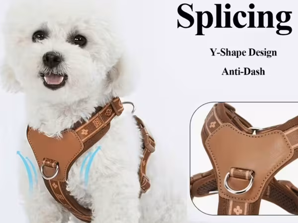 Yeni it sinə qayışı – XS ölçü 🐶 Tam yenidir, istifadə olunmayıb