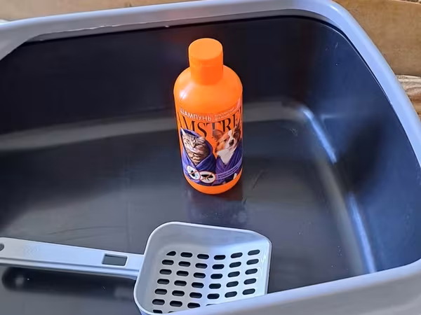 Pişik tualeti dəsti - Açıq tip plastik pişik tualeti – ön hissədə