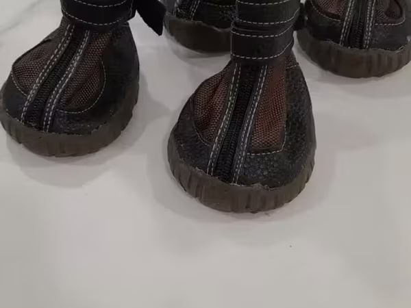 Ճթքավոր կոշիկներ