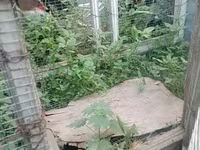 Ճագարի Վանդակ 2 տեղանոց — Foto 1