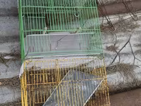 Balaca ölcdeiran qefesi hemi satılır hemi papuqayla barter olunur — 照片 1