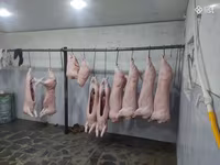 Խոզի միս, Խոզի միս անմիջապես ֆերմայից — фото 1