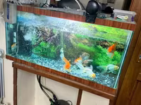 Ակվարիում 120 լիտր — Foto 1