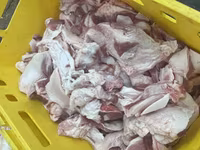 Шкура пластовая/кусковая — Foto 3