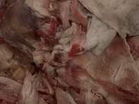 Salam hörmətli müştərilər Qiymət hər məhsulun kq görə dəyişir. Toyuq — 照片 3