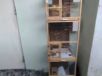 📢 SATILIR – 3 Mərtəbəli Taxta Qəfəs + 2 Cüt Məhəbbət Quşu Möhkəm və — foto 1