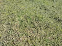 Səyyar arıxana qoşqusu 49 ARI AİLƏSİ YERLƏŞİR — foto 2