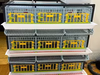 Sənaye tipli çoxmərtəbəli quş qəfəsi sistemi - 4 mərtəbəli modul — Foto 2