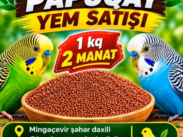 Məhsul: Papuqay yemləri - Təzə və xırdalanmamış dənlər, gündəlik