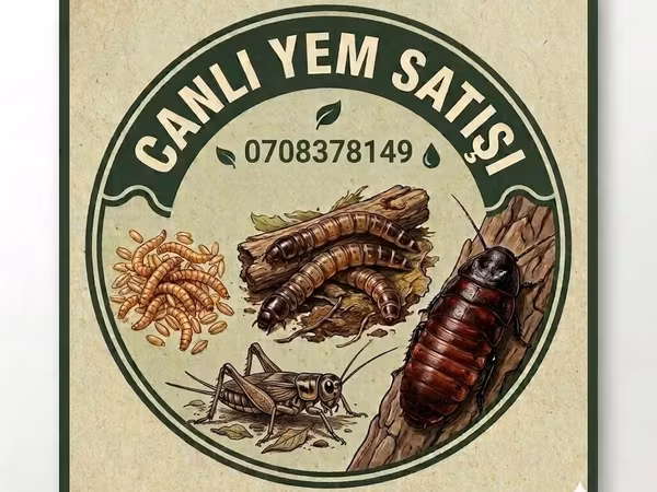 Canlı yem satışı – sürünənlər, amfibiyalar, quşlar və akvarium
