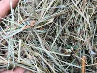 Խոդի տուկ խոդ խամի խոդ — фото 1
