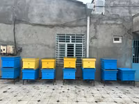 Arıçılıq üçün taxta arı pətəkləri - Model: çoxkorpuslu taxta pətək - — الصورة 1