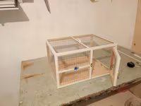 Dovşan,hamster,şinşila,bildirçin,cücə,xamyak,pişik,quş ve s kimi ev — Foto 3