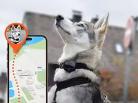 🐾 Ev Heyvanları üçün GPS İzləmə Cihazı Sevimli dostunuz hər zaman — foto 1