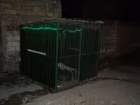 Metalkarkas heyvan qəfəsi / açıq hava volyeri - Material: tam metal — الصورة 1