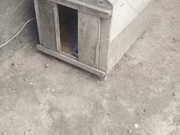 It yuvasi satilir qiymet 50 manat Yeni Ramani da yerlewir qiymet sondu