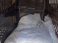 Plastik heyvan daşıma konteyneri - Ölçü: orta həcm (pişik, kiçik it — 照片 1