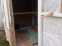 Ev quşları üçün sadə taxta qəfəs/kümes. Xüsusiyyətlər: - Material — photo 3