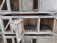 Çoxbölməli taxta qəfəs sistemi - Material: möhkəm taxta karkas, ön — foto 1