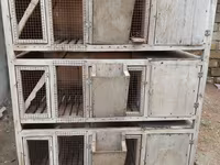 Çoxbölməli taxta qəfəs sistemi - Material: möhkəm taxta karkas, ön — foto 2
