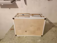 Dovşan,hamster,şinşila,bildirçin,cücə,xamyak,pişik,quş ve s kimi ev — Foto 4